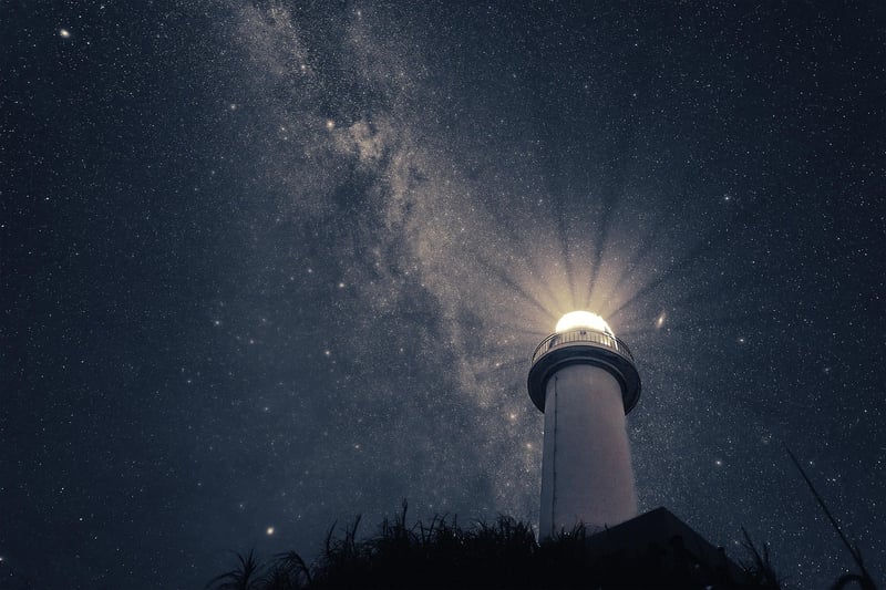 Celebrities under the stars